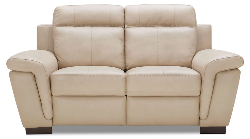 Seth Genuine Leather Loveseat