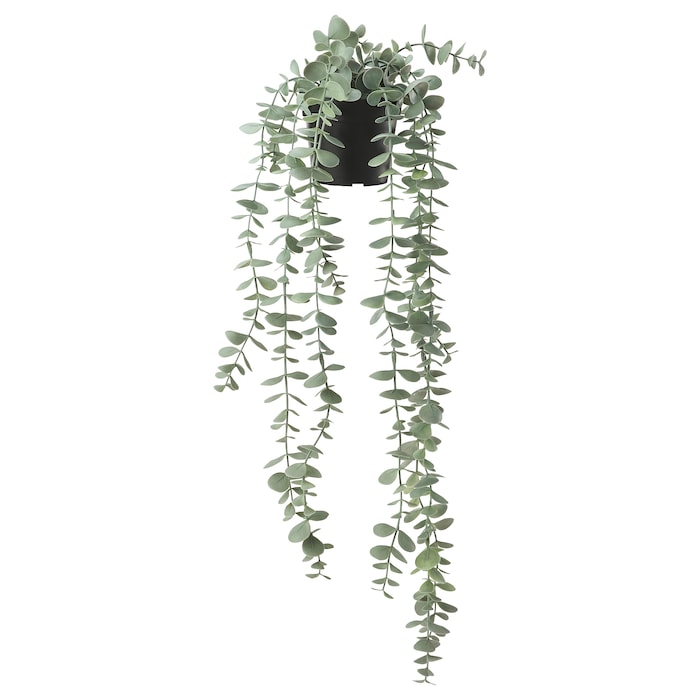 Fejka - Hanging plant
