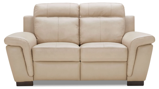 Seth Genuine Leather Loveseat