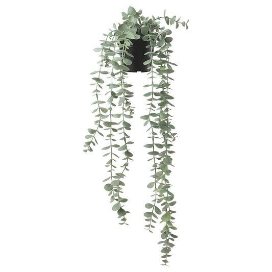 Fejka - Hanging plant